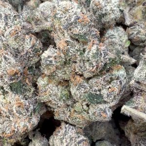 Elite Boutique Exotics White Cherry Gushers - Bulk - Hybrid