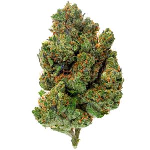 Chocolate Diesel - 4 Gram - Hybrid