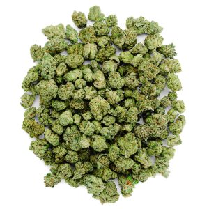 Orange Creamsicle - Indoor - 14 Grams Minis - Sativa