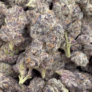 Indoor Exotic Purple Jack - Bulk - Hybrid