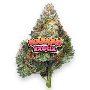 Boutique Exotics - Coffin Candy - 4 Grams - Hybrid