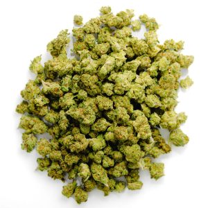 Gary Payton - Minis - 14 Grams - Hybrid