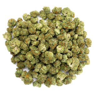 Gelato Mintz - Minis - 28 Grams - Hybrid