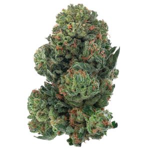 Alien OG - Indoor - 28 Grams - Indica