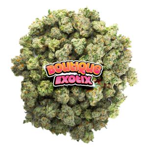 Boutique Exotics Obama Runtz - 28 Grams - Hybrid
